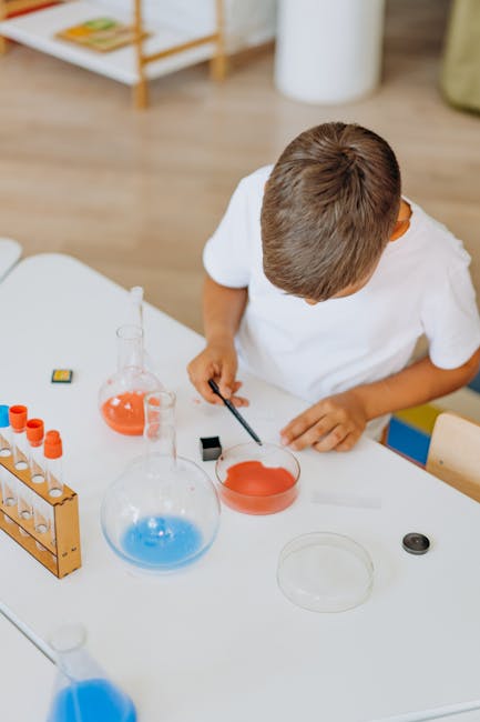 Een team van mensen die samenwerken aan een interactief educatief project